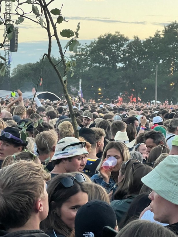 Dette billede har ingen alternativ tekst; filens navn er 86092ab2-d2d9-4b27-bd81-15cc0651a0a8_1_105_c.jpeg